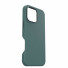 Otterbox Symmetry MagSafe Series Kaktus Leder Case | Apple iPhone 16 Pro Max | Juniper Sprig - grün | 77-96325