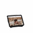 UAG Urban Armor Gear Essential Armor Folio Case | Apple iPad mini (2024 & 2021) | schwarz (transparent) | 124485114040