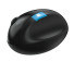 Incase | Designed by Microsoft | Sculpt Ergonomic Maus | schwarz | L6V | L6V-00003