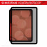 DISPLEX Tablet Privacy Safe Sichtschutzfolie | Apple iPad 11