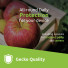 Gecko Covers Apple-Peel Cover Tablet Schutzhülle | Samsung Galaxy Tab A11+ (2025) / A9+ (2023) | dawn | V11AP2469T5